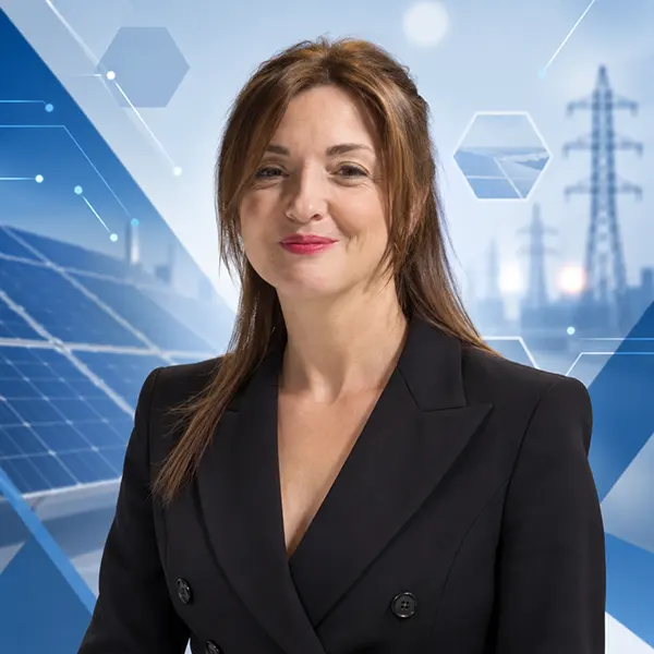 Ing. Letizia Blancato Ing. Letizia Blancato